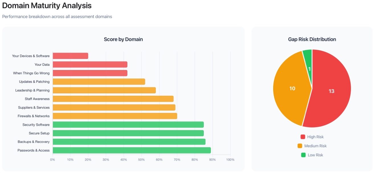 Domain Maturity Analysis showing a score-by-domain bar chart and a gap risk distribution pie chart
